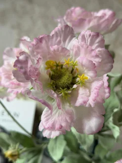 Valmue stilk 62 cm - Rosa