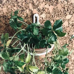 VIAMAJA Pottering – Hvid / Lille